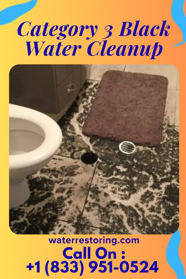 Category 3 Black Water Cleanup in Ritzville, WA