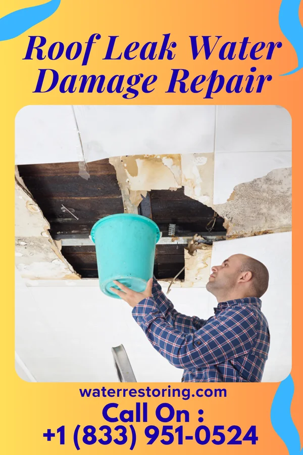 Roof Leak Water Damage Repair in Ritzville, WA